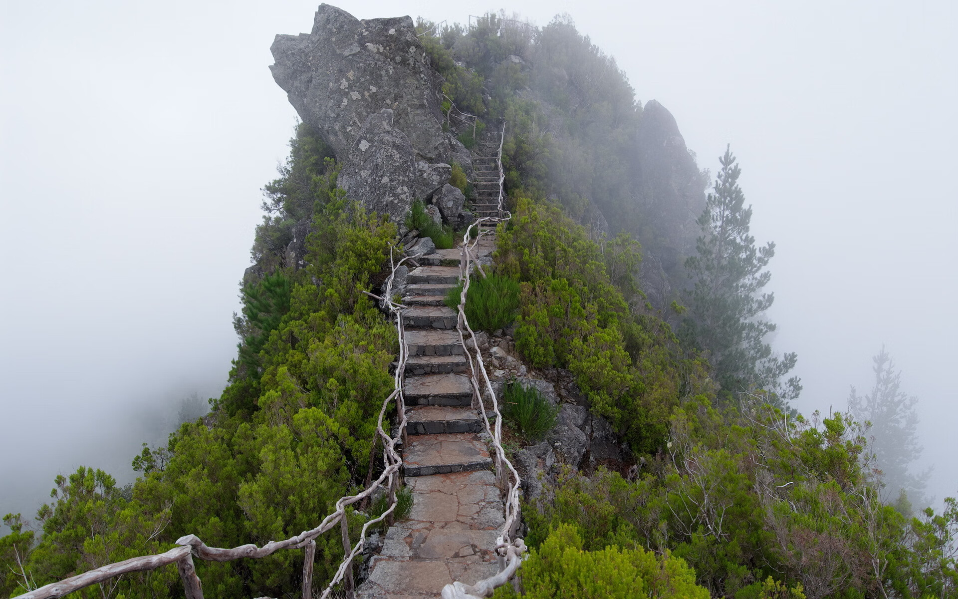 世界短道速滑裁判复核系统线上化:录像回放效率大幅提升,世界短道速滑冠军是谁